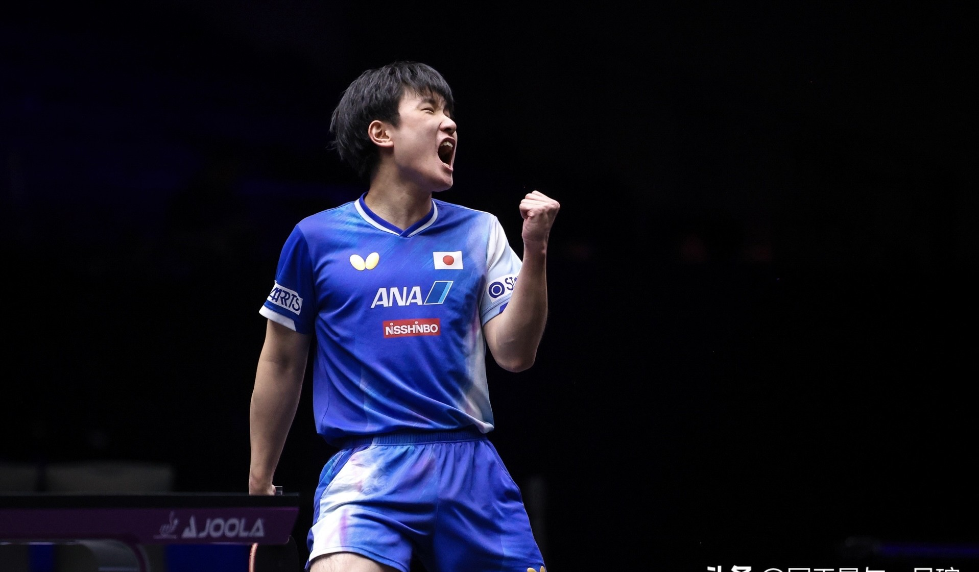 比利时乒乓球队翻盘奥地利乒乓球队，张本智和关键制胜